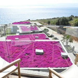 Sato Design (adults Only) Cesme